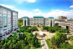 沈阳大学最新爆料,揭秘校园风云与变革历程  第3张