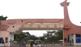 南宁动物园爆料案件最新,惊现动物逃脱事件，真相揭秘！  第1张